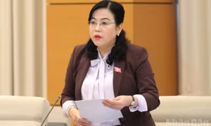 Ủy ban Thường vụ Quốc hội chỉ định Chủ tịch, các Phó Chủ tịch Hội đồng nhân dân cấp tỉnh sau sắp xếp