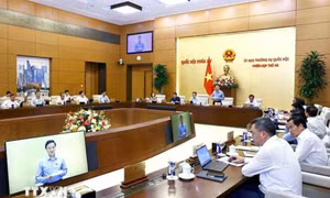 Ủy ban Thường vụ Quốc hội: Sửa Pháp lệnh Dân số, bỏ quy định sinh 1 hoặc 2 con