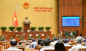 Quốc hội thông qua Nghị quyết về thí điểm Viện Kiểm sát khởi kiện vụ án dân sự