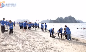 Đoàn Thanh niên Cẩm Phả phát động ra quân làm sạch môi trường 