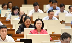 Bảo đảm việc tăng mức phạt tối đa phù hợp với mức tăng lương tối thiểu