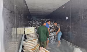 Minh bạch môi trường kinh doanh thương mại