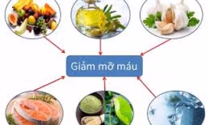 Chế độ ăn giúp kiểm soát huyết áp và mỡ máu