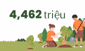 4,462 triệu - là số lượng cây phân tán toàn tỉnh đã trồng từ năm 2020 đến nay