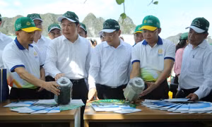 Lan tỏa tinh thần "sống xanh - hành động xanh"