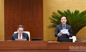 Người dân, doanh nghiệp có thể tiếp tục dùng giấy tờ cũ đến khi hết hạn sau sáp nhập