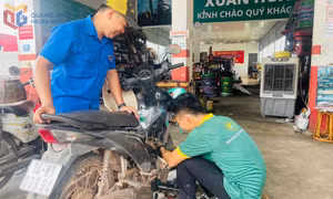 Bí thư chi đoàn làm kinh tế giỏi, sống vì cộng đồng