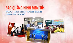 Báo Quảng Ninh điện tử: Bước tiến trên hành trình chuyển đổi số