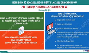 Từ 1/7/2025, chuyển giao lĩnh vực hộ tịch cho Ủy ban Nhân dân cấp xã