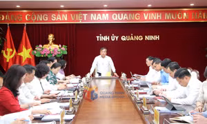Giao ban Thường trực Tỉnh ủy