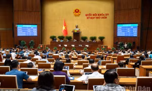 Công chức, viên chức không được thành lập, góp vốn và quản lý doanh nghiệp
