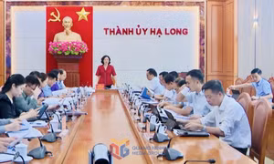 TP Hạ Long: Củng cố bộ máy, chuẩn bị cho giai đoạn phát triển mới