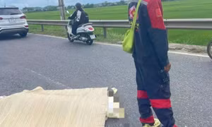 Nghi án đâm bạn gái trọng thương rồi lao vào xe tải tự vẫn