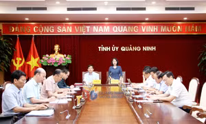Thường trực Tỉnh ủy giao ban các Ban Xây dựng Đảng và đơn vị trực thuộc