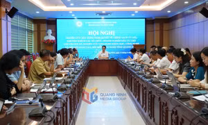 Sở KH&CN tổ chức Hội nghị Cà phê công nghệ năm 2025