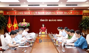 Thường trực Tỉnh ủy làm việc với Tiểu ban phục vụ Đại hội đại biểu Đảng bộ tỉnh lần thứ XVI, nhiệm kỳ 2025-2030