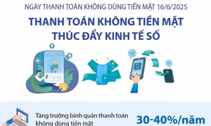 Thanh toán không tiền mặt tại Việt Nam tăng trưởng ấn tượng