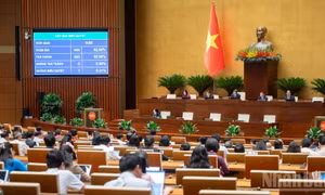 Quốc hội thống nhất tiếp tục miễn thuế sử dụng đất nông nghiệp đến hết năm 2030