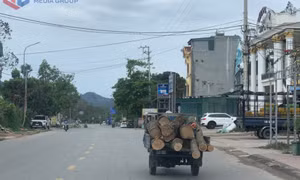 Tăng cường xử lý xe tự chế