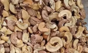 Việt Nam chi hơn 2 tỷ USD nhập khẩu hạt điều