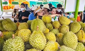 Sức hút của nông sản Việt