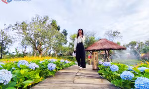 Khám phá thiên đường hoa bên biển Hồng Vàn