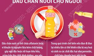 Vì sao dầu ăn chăn nuôi gây nguy hại đến sức khỏe con người?