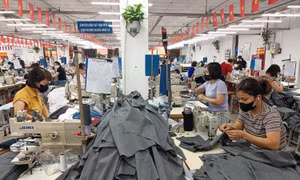 Giữ nhịp xuất khẩu dệt may