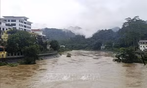 Thời tiết ngày 29/6: Mưa lớn kéo dài tại Bắc Bộ, cảnh báo nguy cơ ngập úng và lũ quét