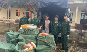 Bắt vụ vận chuyển 1.170 kg trứng gà non không rõ nguồn gốc