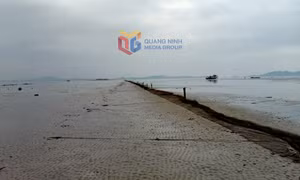 Huyện Hải Hà: Tăng cường công tác quản lý nhà nước về đất đai, tài nguyên, môi trường