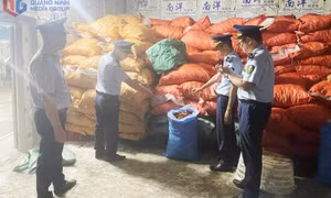 Phát hiện, bắt giữ, xử phạt 322 cơ sở, tổ chức, cá nhân vi phạm trong sản xuất, chế biến, kinh doanh thực phẩm
