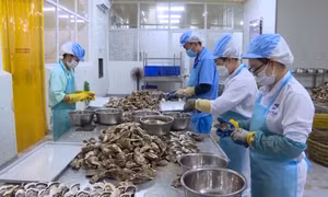 Thúc đẩy phát triển sản phẩm OCOP