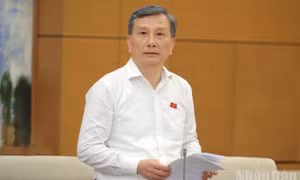 Cần thiết thành lập Quỹ thúc đẩy sử dụng năng lượng tiết kiệm và hiệu quả