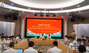 Ban Chấp hành Đảng bộ Than Quảng Ninh triển khai nhiệm vụ 6 tháng cuối năm