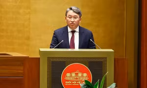 Không đề xuất điều chỉnh tăng mức xử phạt tiền tối đa với bất kỳ lĩnh vực nào