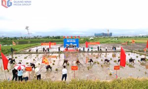 Lễ hội xuống đồng thắm đượm hồn quê