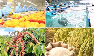 Xuất khẩu nông, lâm, thủy sản tăng hơn 10% so với cùng kỳ
