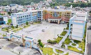 Quảng Ninh đưa đón học sinh đến trường bằng xe buýt điện năm học 2026-2027