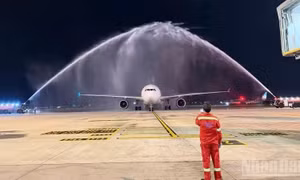 Hãng bay Hàn Quốc Parata Air mở đường bay thường lệ đến Hà Nội