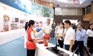 Đoàn công tác tỉnh Quảng Ninh khảo sát tại Trường Đại học Mân Giang (Trung Quốc)