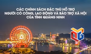 Các chính sách đặc thù hỗ trợ người có công, lao động và bảo trợ xã hội của tỉnh Quảng Ninh