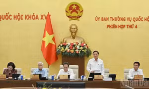 Tạo lập khuôn khổ pháp lý ổn định, đột phá và khả thi thúc đẩy phát triển Thành phố Hồ Chí Minh và các đô thị đặc biệt