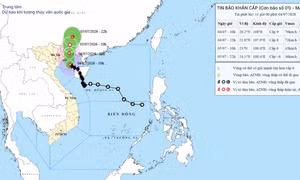 Bản tin phát lúc 11h00 về cơn bão số 01: Tâm bão cách Móng Cái khoảng 145km; Cô Tô có gió mạnh cấp 7, giật cấp 9