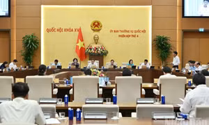 Điều tra, làm rõ vụ việc điểm thi môn Toán bất thường tại Tuyên Quang
