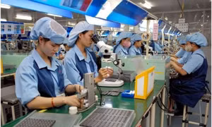 Quy định mới xử phạt vi phạm hành chính trong lĩnh vực lao động, bảo hiểm xã hội