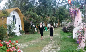Du lịch Cô Tô trong xu thế phát triển bền vững