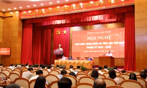 Phấn đấu ở mức cao nhất để hoàn thành mục tiêu GRDP cả năm trên 13%