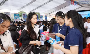 Tạo sinh kế bền vững từ giải quyết việc làm