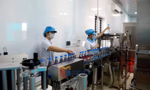 Tăng cường vai trò dẫn dắt của khu vực kinh tế nhà nước